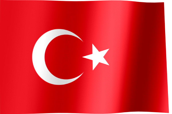 Turkey Visa Online_200314111806.gif